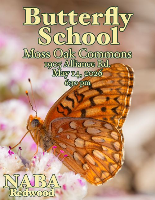 Butterfly ID class
