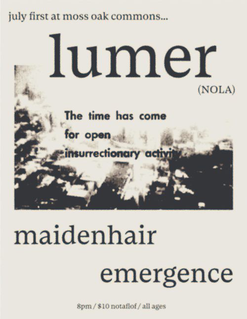lumer, maidenhair, emergence 