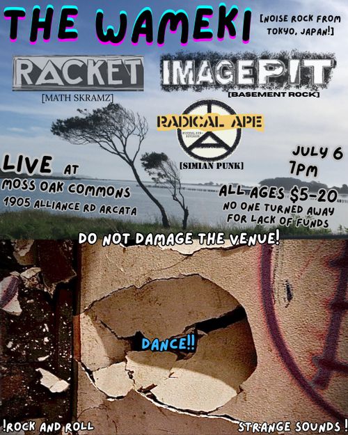 The Wameki (Tokyo), RACKET, Image Pit, Radical Apes