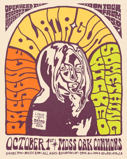 Blair Gun (SD), Presence, Something Wicked